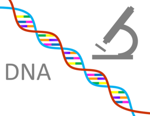 Dna Genetics Science Research Gene - Tumisu / Pixabay