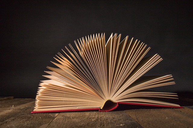 Book Pages Story Fiction Wisdom  - mondord / Pixabay