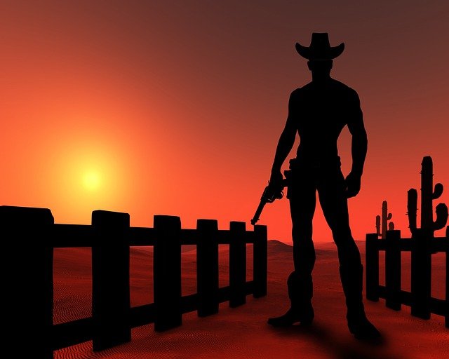 Cowboy Close Tuna Desert Sun  - Briam-Cute / Pixabay